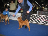 /album/fotogaleria/aja-budap-w-jpg/